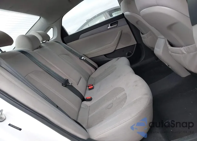 5NPE24AF8HH584981: 41920875