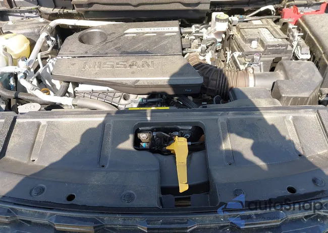 5N1BT3AB5PC924665: 41923135