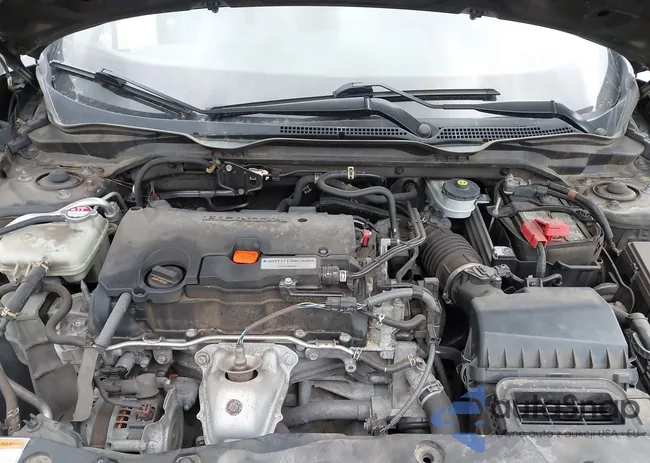 2HGFC4B04JH302850: 41923357