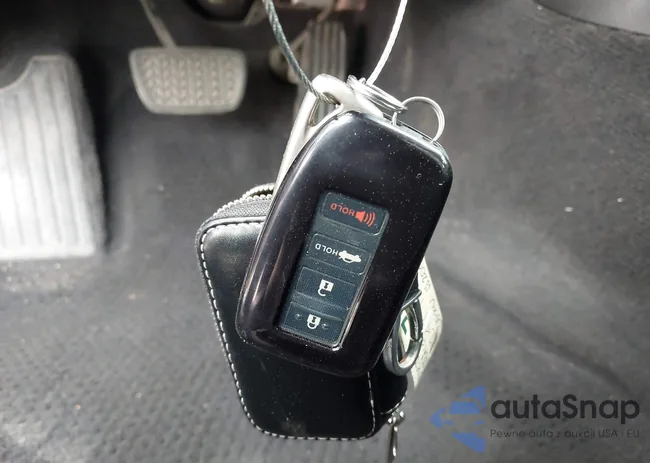 JTHBA1D29G5037244: 41923819