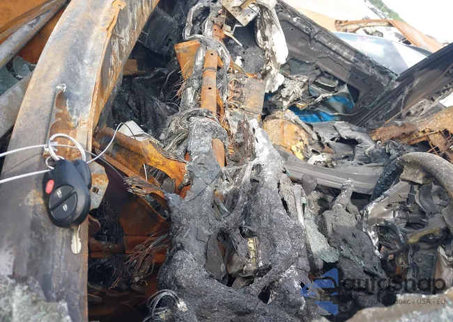 5TFHW5F18DX287809: 41923846