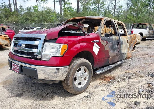 1FTFW1EF8DFD13053: 41925557