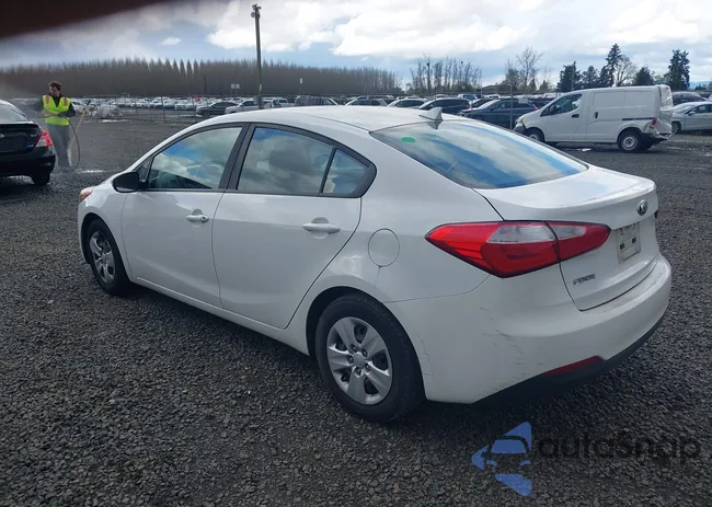 KNAFK4A64G5619676: 41924947