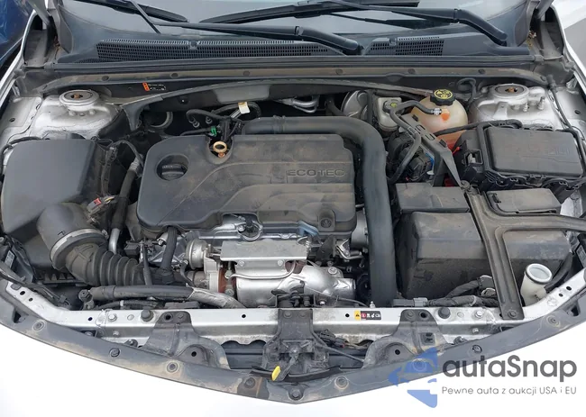 1G1ZD5ST8KF204974: 41930329