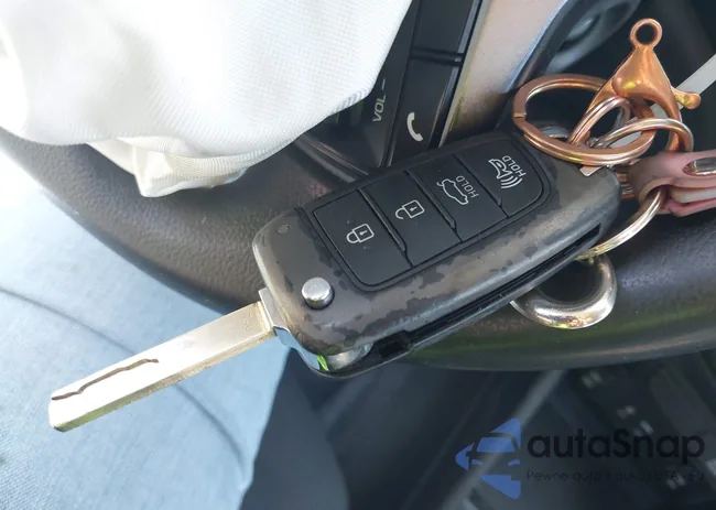 3KPC24A60LE103271: 41931031