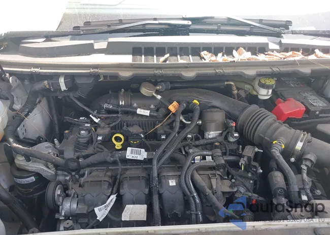 2FMPK4J96PBA36597: 41932021