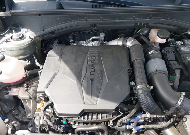 5NMP24GL5RH014179: 41937099