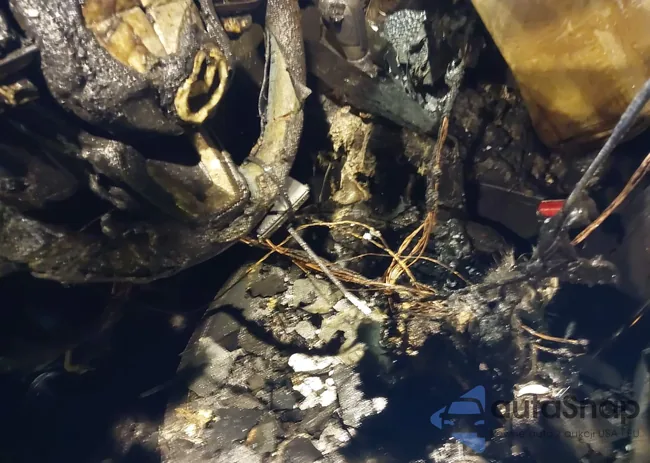 JM3KFBDM4M1466103: 41938823