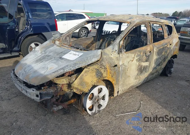 1FMCU9GX5EUA78438: 41938926