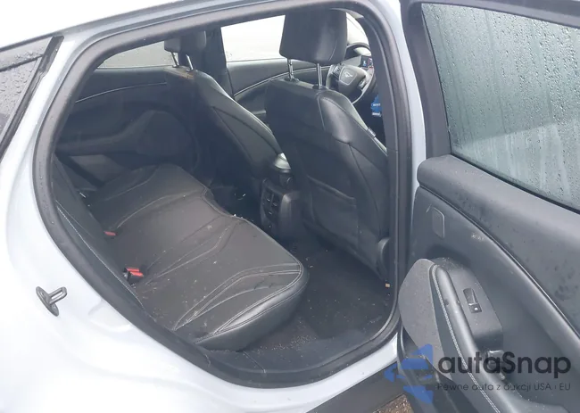 3FMTK3SU6RMA19358: 41942289