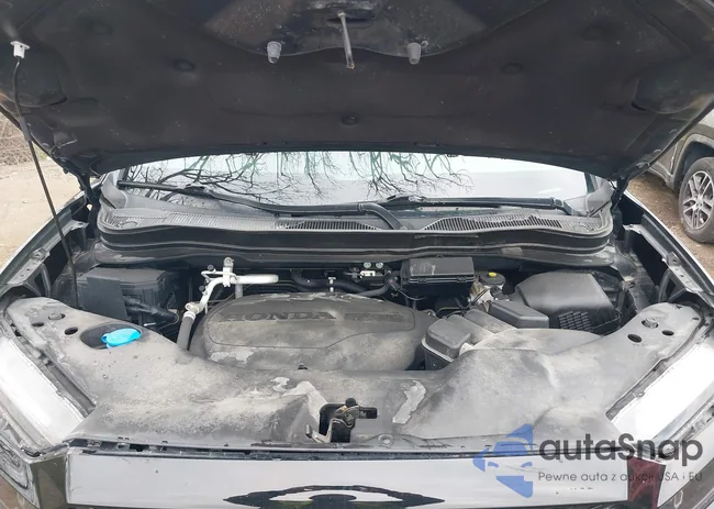 5FPYK3F19MB017134: 41942440