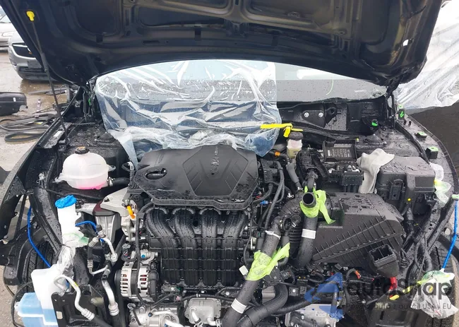 5XYK6CDF9SG265861: 41944482