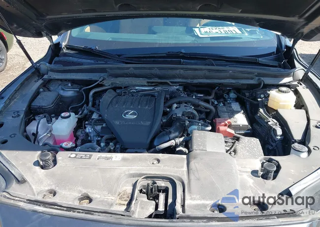 2T2BAMBA5RC033402: 41947126