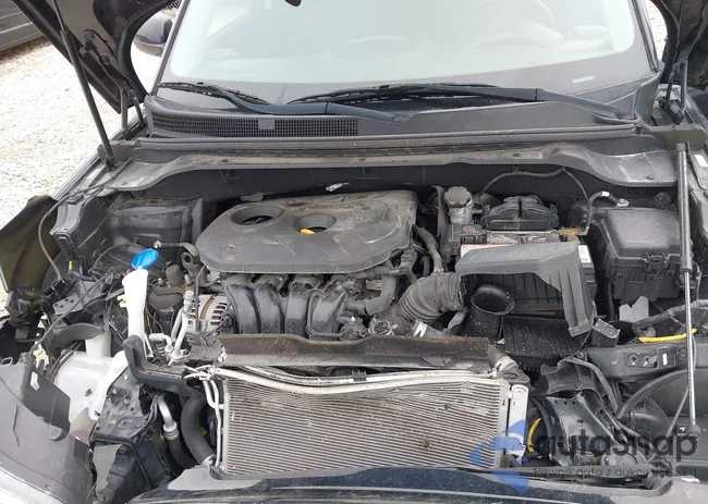 KNDJP3A5XK7668524: 41949246