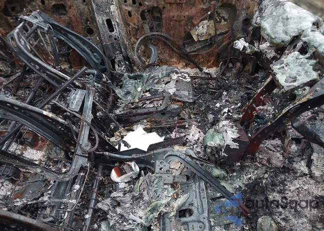 3GYFNCEY8AS633281: 41949701