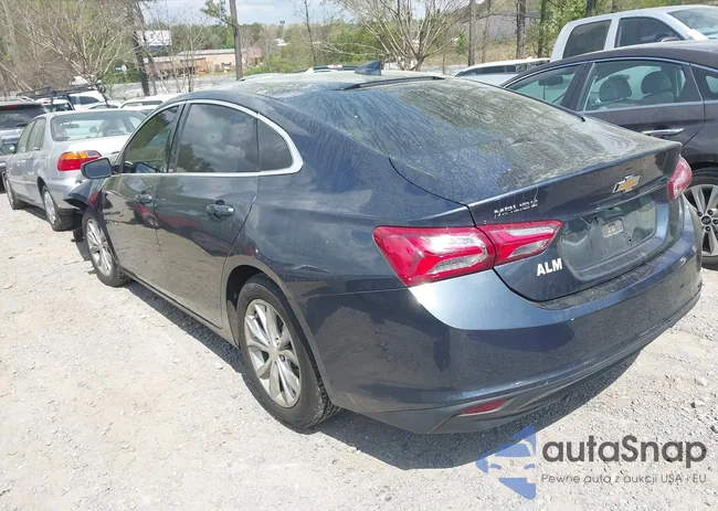 1G1ZD5ST6LF061976: 41951917