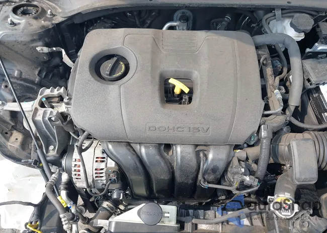 3KPF24AD9LE214204: 41954548