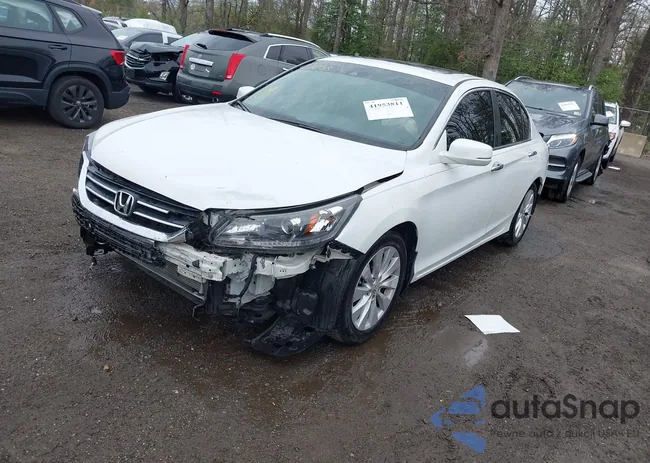 1HGCR2F84FA028254: 41953811