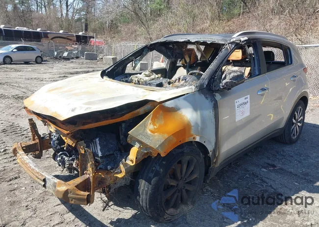 KNDPNCAC1H7248223: 41955069