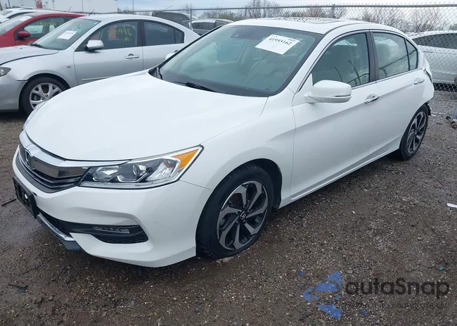 1HGCR2F03GA011859: 41955162