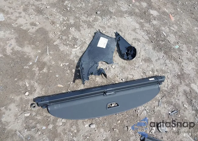 W1NKM4HB9RF122031: 41955236