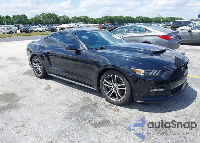 1FA6P8TH0H5328223: 41956269