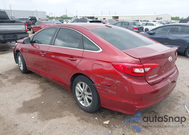 5NPE24AFXGH363798: 41956499