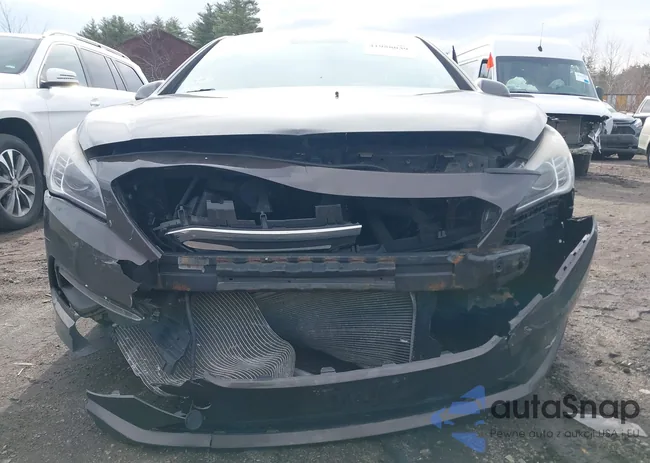 5NPE24AF8FH042647: 41958039