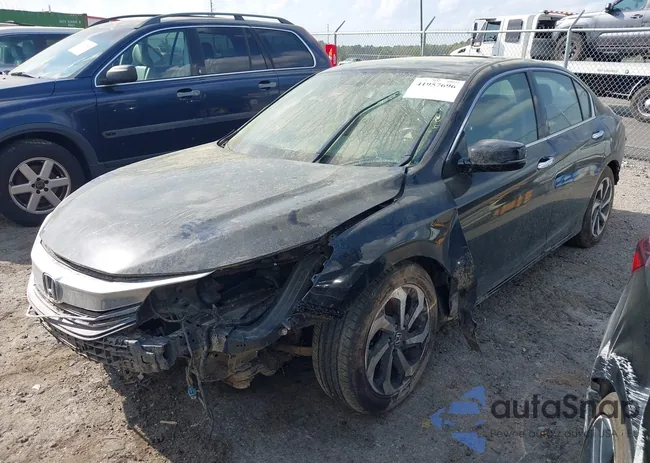 1HGCR3F83HA026536: 41957696