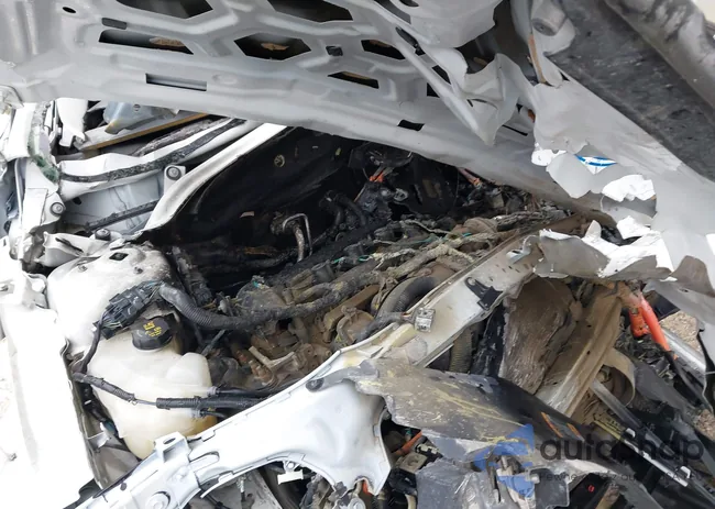 3FA6P0LU5ER247550: 41961292