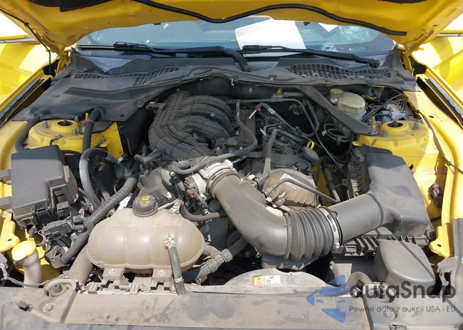 1FATP8EM6G5216232: 41963249