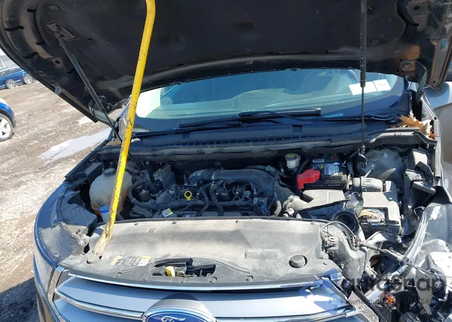 2FMPK4J96HBB87599: 41964248