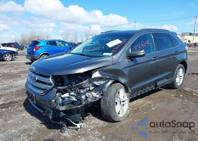 2FMPK4J96HBB87599: 41964248