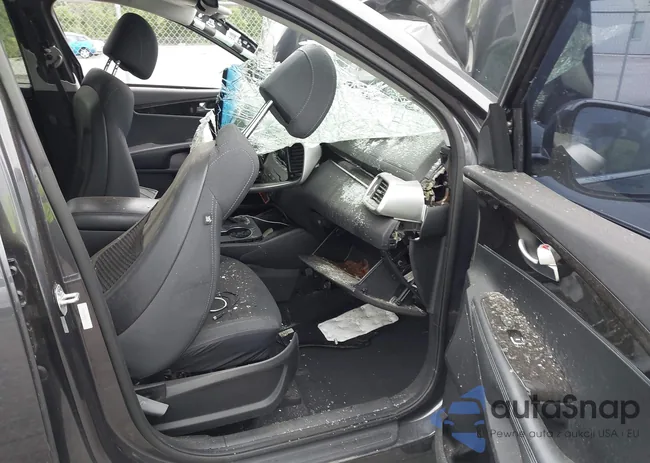 5XYPG4A35HG204955: 41966406