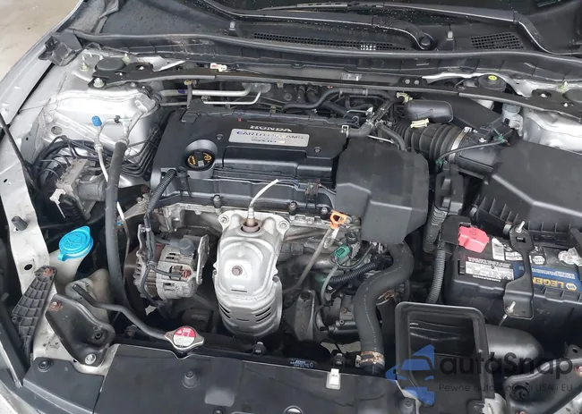 1HGCR2E77DA106287: 41966701