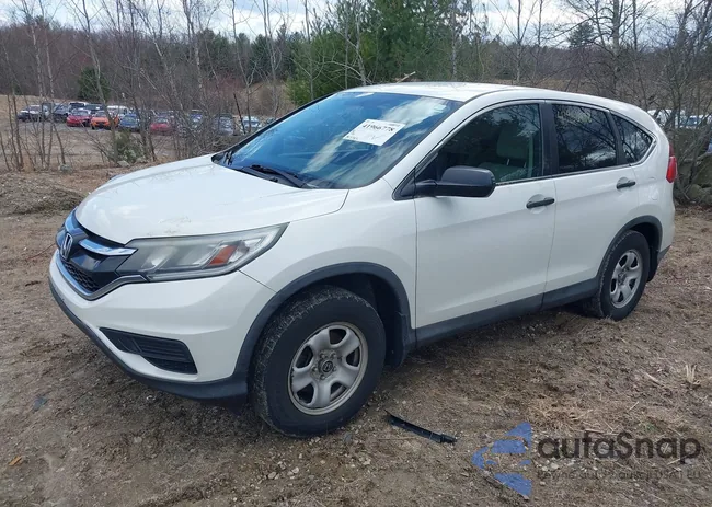 5J6RM3H32GL018093: 41966778