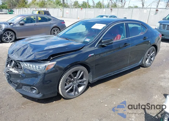 19UUB2F66KA004345: 41969401