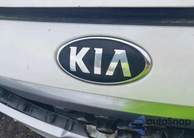 KNDMC5C14F6066311: 41968881