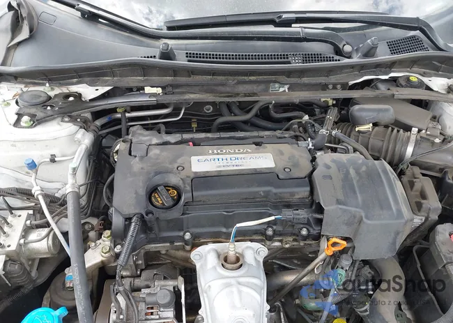 1HGCR2F88DA123736: 41973017