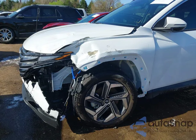 KM8JFCA10PU099946: 41973915