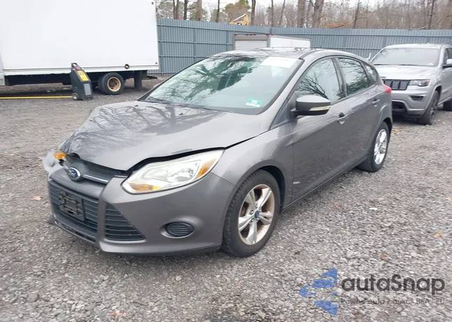 1FADP3K2XEL121210: 41974962