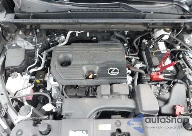 2T2ADCAZ5RC006589: 41975513