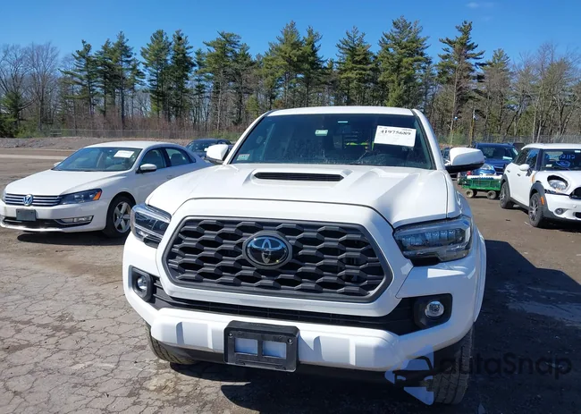 3TYCZ5AN2PT113258: 41975689