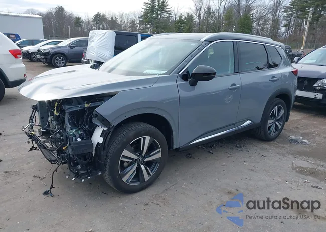 JN8BT3DD7PW307465: 41977344