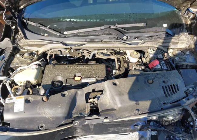 2HGFC2F82MH527924: 41976548