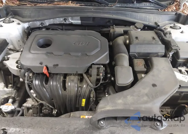 5XXGT4L31JG238006: 41978646