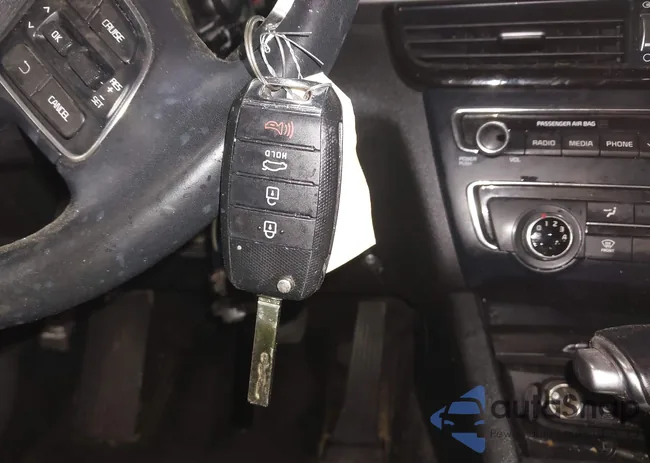 5XXGT4L31JG238006: 41978646