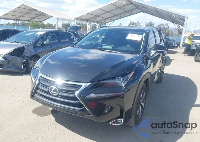 JTJGARBZ4M2185558: 41978745