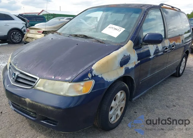 5FNRL18874B132825: 41978812