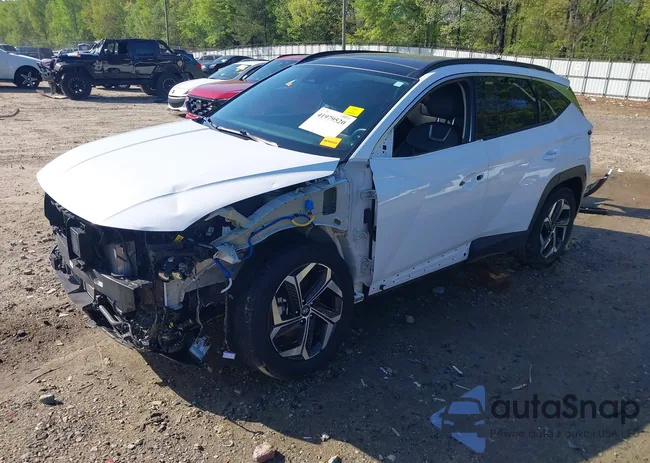 KM8JECA14NU079960: 41979520